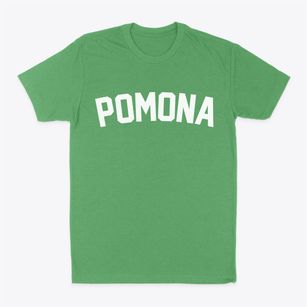 Pomona New York Classic Curve Classic Dad T-Shirt