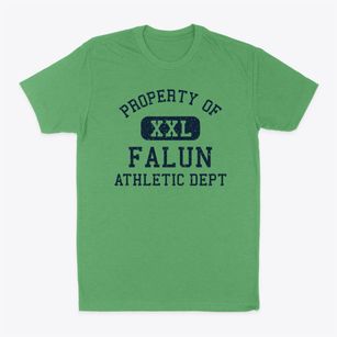 Falun Kansas Athletic Dept Classic Dad T-Shirt