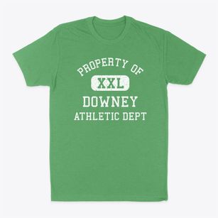 Downey California Athletic Dept Classic Dad T-Shirt