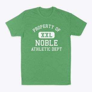 Noble Illinois Athletic Dept Classic Dad T-Shirt