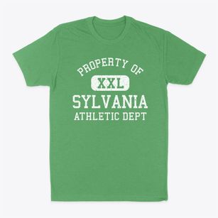 Sylvania Ohio Athletic Dept Classic Dad T-Shirt