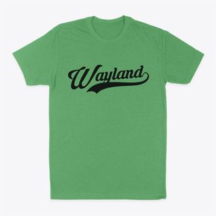 Wayland New York Vintage Team Classic Dad T-Shirt