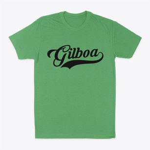 Gilboa New York Vintage Team Classic Dad T-Shirt