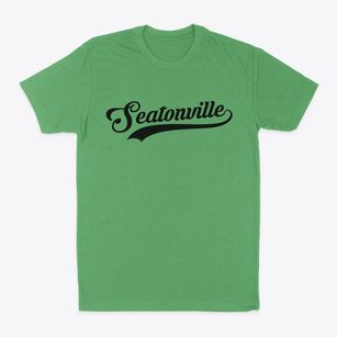 Seatonville Illinois Vintage Team Classic Dad T-Shirt