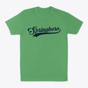 Springboro Pennsylvania Vintage Team Classic Dad T-Shirt