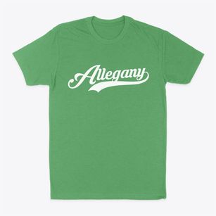 Allegany New York Vintage Team Classic Dad T-Shirt
