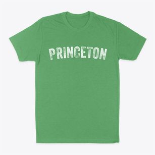 Princeton Missouri Timeless Retro Classic Dad T-Shirt