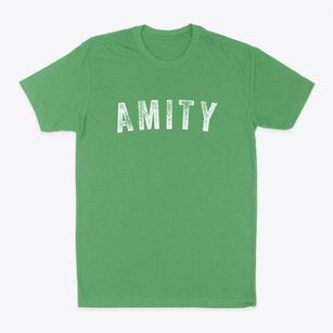 Amity Arkansas Timeless Retro Classic Dad T-Shirt
