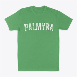 Palmyra Nebraska Timeless Retro Classic Dad T-Shirt