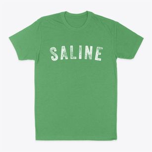 Saline Louisiana Timeless Retro Classic Dad T-Shirt