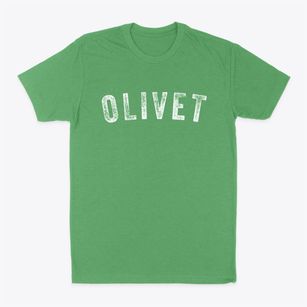 Olivet Kansas Timeless Retro Classic Dad T-Shirt