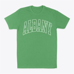 Albany Wyoming Trendy Block Classic Dad T-Shirt
