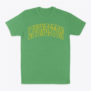 Livingston Alabama Trendy Block Classic Dad T-Shirt