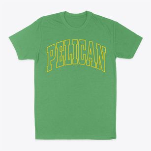 Pelican Wisconsin Trendy Block Classic Dad T-Shirt