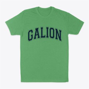 Galion Ohio Varsity Classic Dad T-Shirt