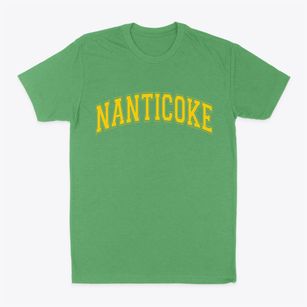 Nanticoke New York Varsity Classic Dad T-Shirt
