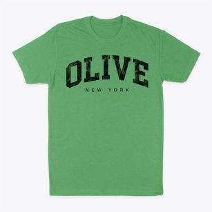Olive New York Urban Vibe Classic Dad T-Shirt
