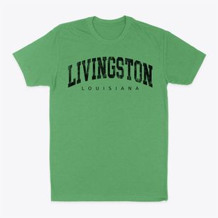 Livingston Louisiana Urban Vibe Classic Dad T-Shirt