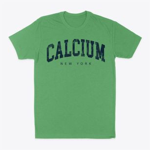 Calcium New York Urban Vibe Classic Dad T-Shirt