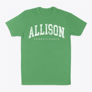 Allison Pennsylvania Urban Vibe Classic Dad T-Shirt