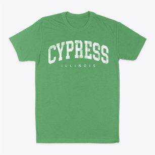 Cypress Illinois Urban Vibe Classic Dad T-Shirt