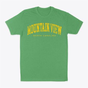 Mountain View North Carolina Urban Vibe Classic Dad T-Shirt