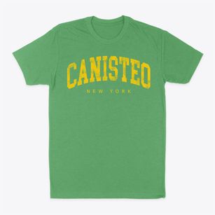 Canisteo New York Urban Vibe Classic Dad T-Shirt