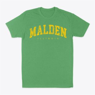 Malden Illinois Urban Vibe Classic Dad T-Shirt