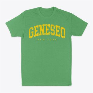 Geneseo New York Urban Vibe Classic Dad T-Shirt