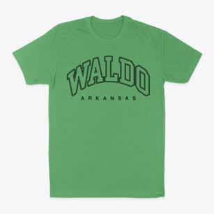 Waldo Arkansas Inline Classic Dad T-Shirt
