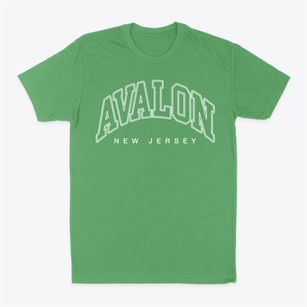 Avalon New Jersey Inline Classic Dad T-Shirt