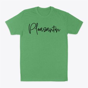 Pleasanton Iowa Freestyle Classic Dad T-Shirt