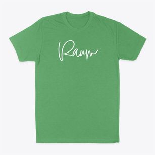 Raum Illinois Freestyle Classic Dad T-Shirt