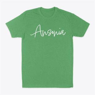 Ansonia Connecticut Freestyle Classic Dad T-Shirt