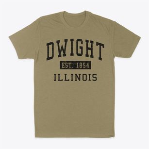 Dwight Illinois Classic Established Classic Dad T-Shirt