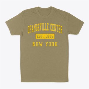 Orangeville Center New York Classic Established Classic Dad T-Shirt