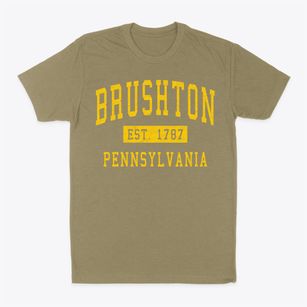 Brushton Pennsylvania Classic Established Classic Dad T-Shirt
