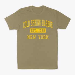 Cold Spring Harbor New York Classic Established Classic Dad T-Shirt