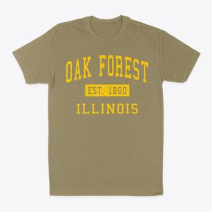 Oak Forest Illinois Classic Established Classic Dad T-Shirt