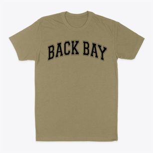 Back Bay Christian Academy Varsity Arch Classic Dad T-Shirt