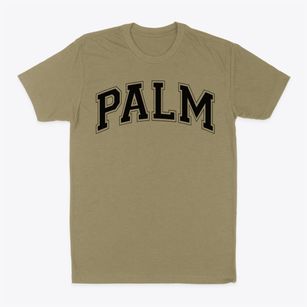 Palm Academy Varsity Arch Classic Dad T-Shirt