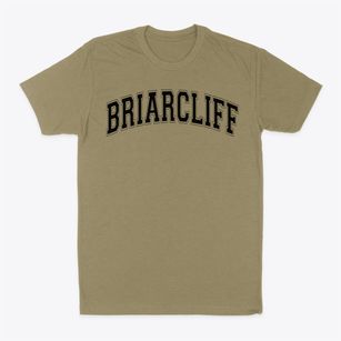 Briarcliff Elementary School Varsity Arch Classic Dad T-Shirt