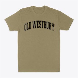 State University Of New York Old Westbur Varsity Arch Classic Dad T-Shirt