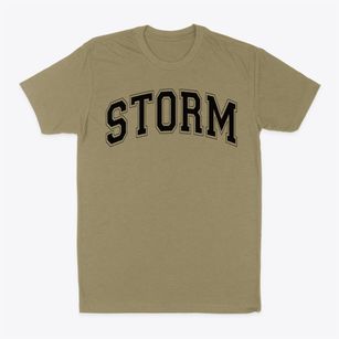 Storm Elementary School Varsity Arch Classic Dad T-Shirt