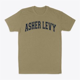 Ps 19 Asher Levy Varsity Arch Classic Dad T-Shirt