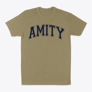 Amity Elementary School Varsity Arch Classic Dad T-Shirt