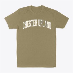 Chester Upland School Of The Arts Varsity Arch Classic Dad T-Shirt