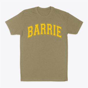Barrie Elementary School Varsity Arch Classic Dad T-Shirt