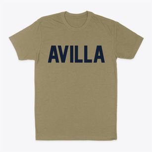 Avilla Missouri Classic Block Classic Dad T-Shirt