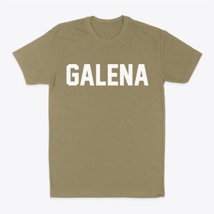 Galena Missouri Classic Block Classic Dad T-Shirt